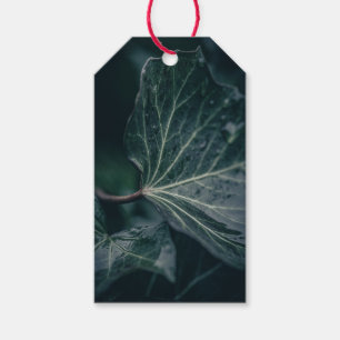 Étiquettes-cadeau Photo de la nature jaune d'ivoire foncé