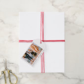 Étiquettes-cadeau Photo minimaliste moderne simple personnalisée (With Twine)