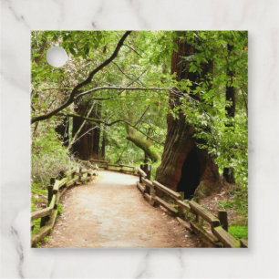 Étiquettes Cadeau Photographie de la nature du chemin de Muir Woods 