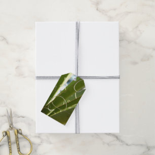 Étiquettes-cadeau Photographie de la nature verte Feuille du Yucca