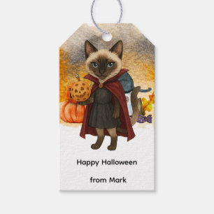 Étiquettes-cadeau Pickleball halloween fête pour les amoureux de les