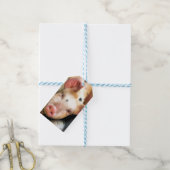 ÉTIQUETTES-CADEAU PIÈCES (Avec de laficelle)