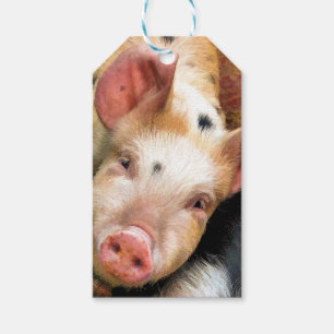 ÉTIQUETTES-CADEAU PIÈCES