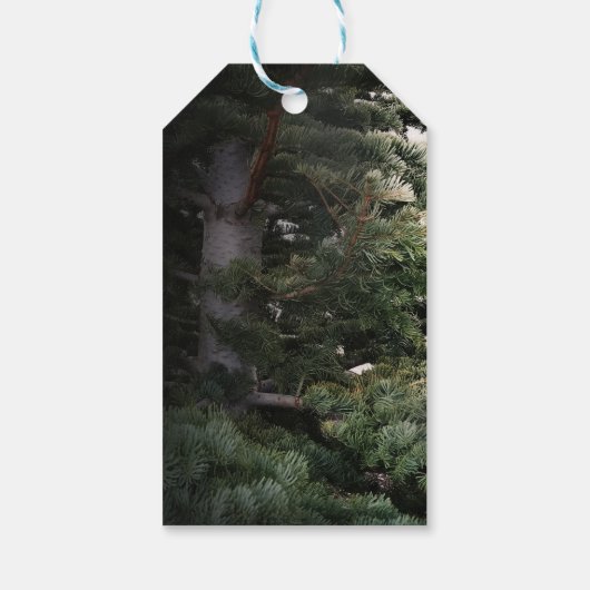 Étiquettes-cadeau Pine Tree Forêt Rustique Woods Mariage Faveur (Dos)