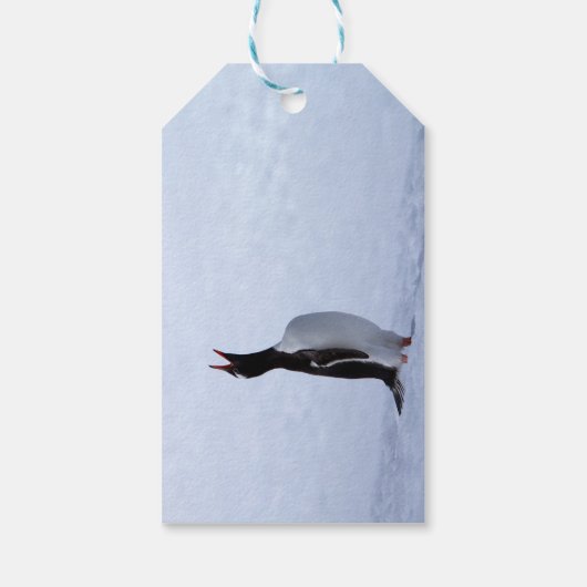 Étiquettes-cadeau Pingouin Gentoo (Dos)