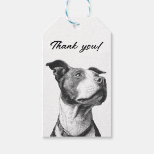 Étiquettes-cadeau Pitbull Minimaliste Noir et Blanc Merci
