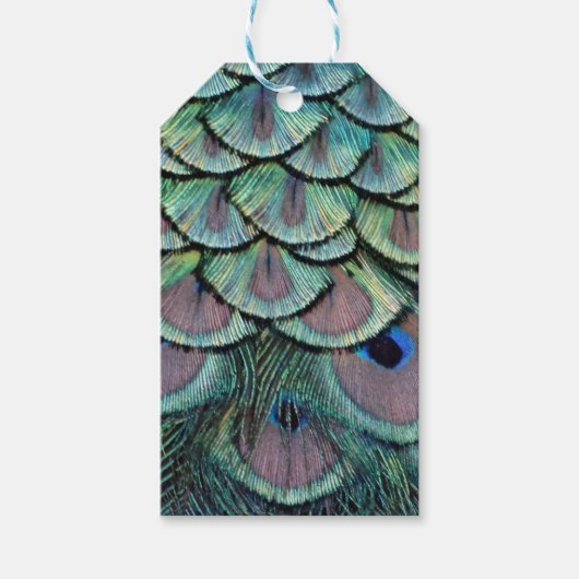 Étiquettes-cadeau plumes de paon (Devant)