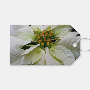 Étiquettes-cadeau Poinsettia Elegant Christmas Holiday Floral