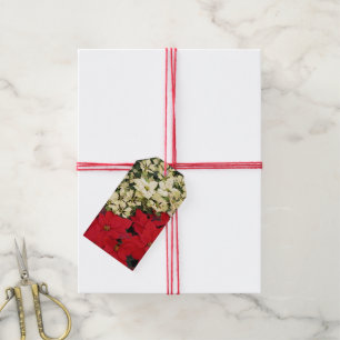 Étiquettes-cadeau Poinsettias blanches et rouges I Holiday Floral