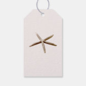 Étiquettes-cadeau Poisson étoilé bleu crème (Dos)