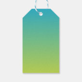 Étiquettes-cadeau Pool Party Boy Birthday (Dos)