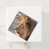 Étiquettes Cadeau Portrait de Lion (En situation)