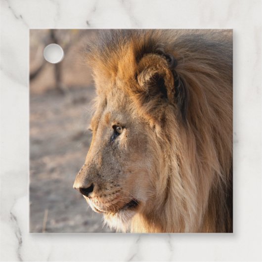 Étiquettes Cadeau Portrait de Lion (Devant)