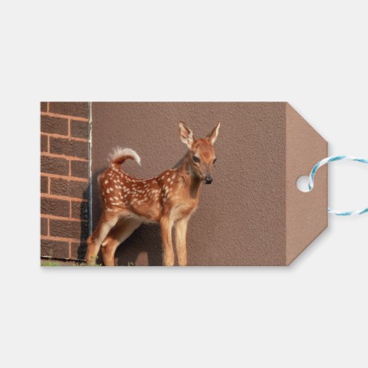 Étiquettes-cadeau Portrait d'un faon (cerf de Virginie) (Devant (Horizontal))