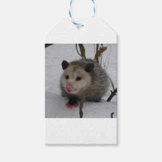 Étiquettes-cadeau Possum à neige