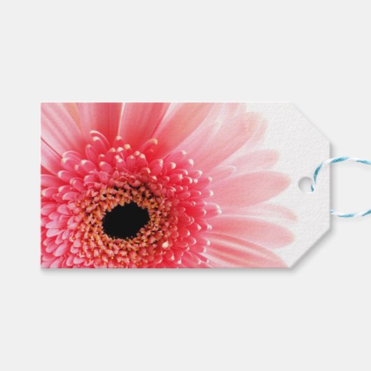 Étiquettes-cadeau Poster Gerbera Daisy (Devant (Horizontal))