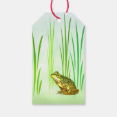 Étiquettes-cadeau Princesse Charming Frog Pack de cadeaux Tags (Dos)