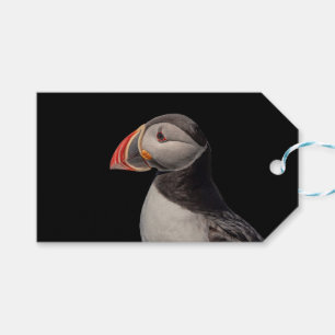 Étiquettes-cadeau Puffin Atlantique en Machias, Maine
