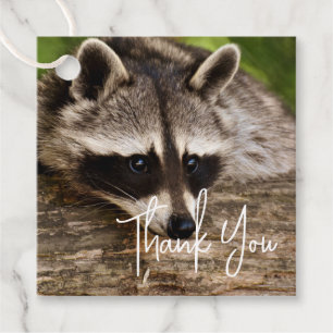 Étiquettes Cadeau Raccoon mignon reposant sur un Merci de journal