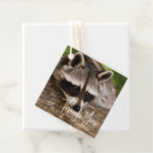 Étiquettes Cadeau Raccoon mignon reposant sur un Merci de journal (En situation)