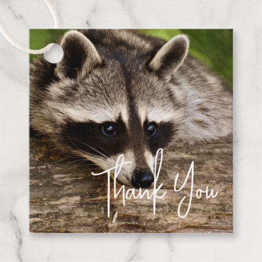Étiquettes Cadeau Raccoon mignon reposant sur un Merci de journal (Devant)