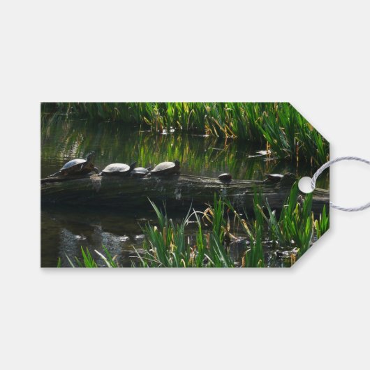 Étiquettes-cadeau Rangée de tortues Green Nature Photo (Devant (Horizontal))