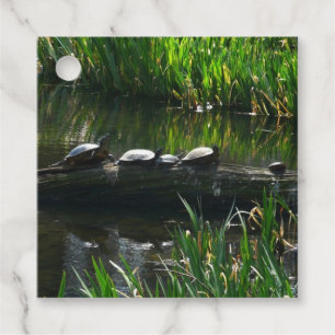 Étiquettes Cadeau Rangée de tortues photo verte de la nature