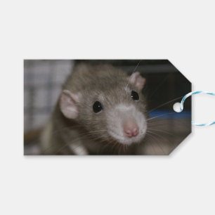 Étiquettes-cadeau Rat curieux