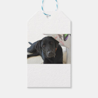 Étiquettes-cadeau Récupérateur Black Labrador personnalisable