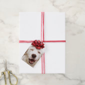 ÉTIQUETTES-CADEAU RÉCUPÉRATION BLANCHE AVEC BALISE CADEAU ROUGE (Avec de la ficelle)