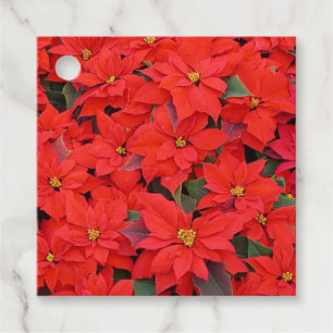 Étiquettes Cadeau Red Poinsettias I Christmas Holiday Floral Photo