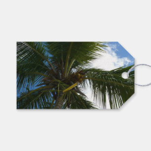 Étiquettes-cadeau Regard sur le palmier à coco Nature tropicale