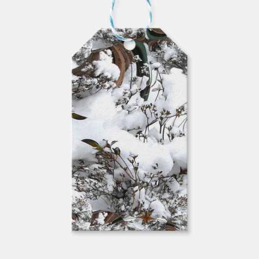 Étiquettes-cadeau Résumé de neige (Devant)