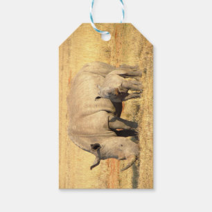 Étiquettes-cadeau rhinocéros mignons en afrique