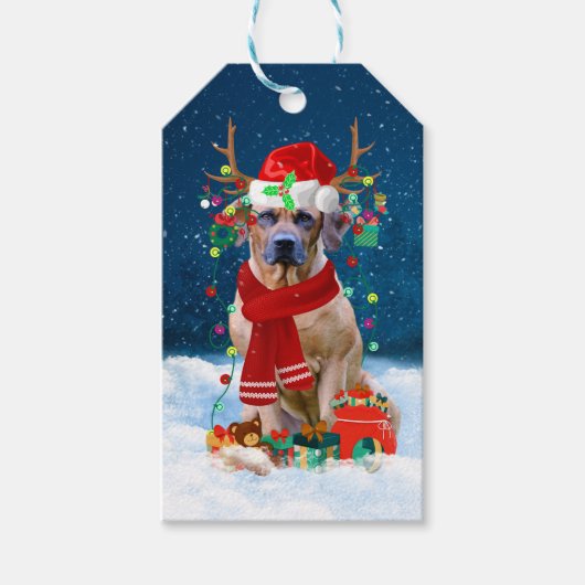 Étiquettes-cadeau Rhodesian Ridgeback Chien dans neige cadeau de Noë (Devant)