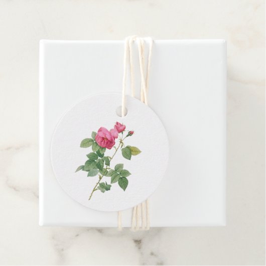 Étiquettes Cadeau Rose botanique vintage rose (En situation)