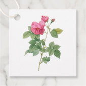 Étiquettes Cadeau Rose botanique vintage rose (Devant)