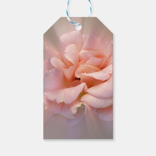 Étiquettes-cadeau Rose doré (Devant)