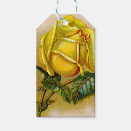 Étiquettes-cadeau Rose jaune Antique Vintage Imprimer Art (Devant)