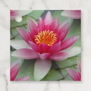 Étiquettes Cadeau Rose Lotus Water Lily