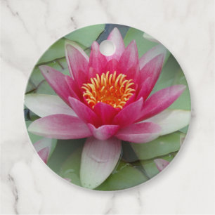 Étiquettes Cadeau Rose Lotus Water Lily