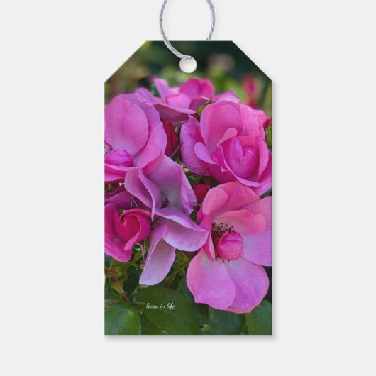 Étiquettes-cadeau Rose rose lilas (Devant)