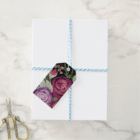 Roses aquarelle