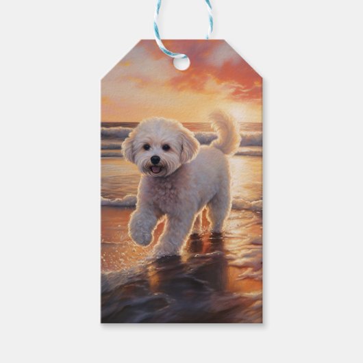 Étiquettes-cadeau Sandy Paws Bichon Frise Dog sur Beach Sunset (Devant)