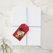 Étiquettes-cadeau Santa Claus (Avec de laficelle)