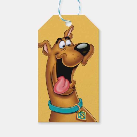 Étiquettes-cadeau Scooby-Doo a excité le visage (Devant)