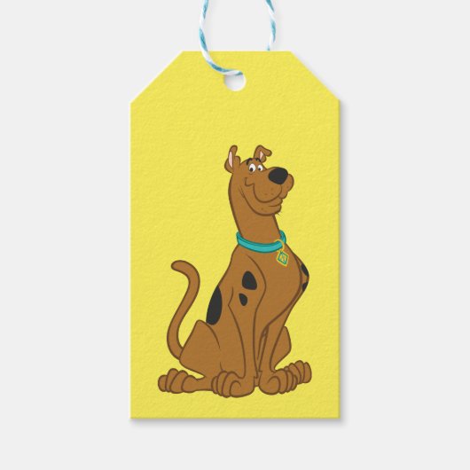 Étiquettes-cadeau Scooby-Doo Cuter Plus que mignonne (Devant)