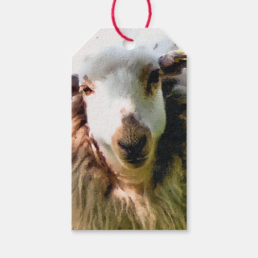 ÉTIQUETTES-CADEAU SHEEP (Devant)