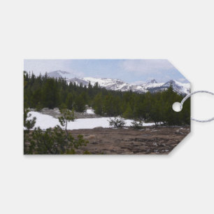 Étiquettes-cadeau Sierra Nevada Montagnes et neige à Yosemite