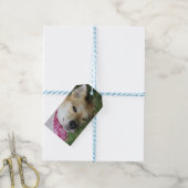 Étiquettes-cadeau Smoochie (With Twine)
